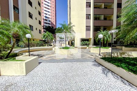 Área comum de apartamento à venda com 3 quartos, 70m² em Cambuci, São Paulo