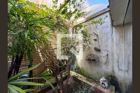 Jardim de Inverno de casa de condomínio à venda com 4 quartos, 200m² em Santo Amaro, São Paulo