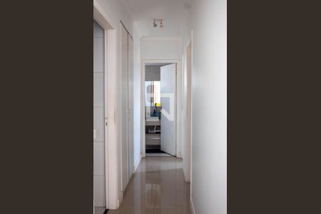 Corredor de apartamento à venda com 2 quartos, 59m² em Vila Constança, São Paulo