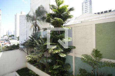 Vista de apartamento para alugar com 3 quartos, 90m² em Vila Mariana, São Paulo