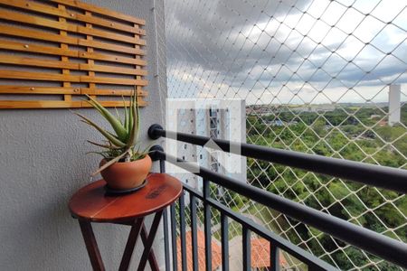 Varanda da Sala de apartamento para alugar com 2 quartos, 48m² em Jardim Ipaussurama, Campinas