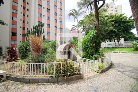 Apartamento para alugar com 66m², 2 quartos e 1 vagaÁrea comum - Jardim