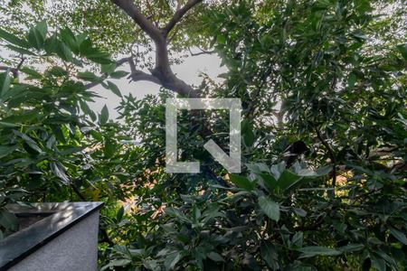 Apartamento à venda com 50m², 1 quarto e sem vagaVista da Área de Serviço