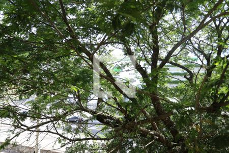 Vista do Quarto 1 de apartamento para alugar com 2 quartos, 50m² em Praia de Belas, Porto Alegre