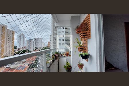 Varanda Sala de apartamento para alugar com 3 quartos, 90m² em Vila Gilda, Santo André