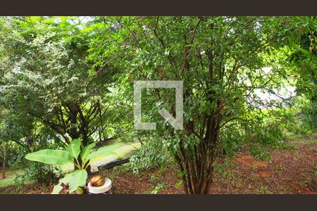 Casa de condomínio à venda com 600m², 4 quartos e 15 vagasVista do Quarto 3