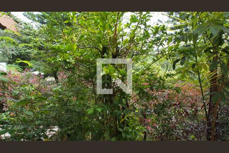 Casa de condomínio à venda com 600m², 4 quartos e 15 vagasVista Quarto Suíte 2 Master