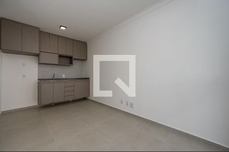 Studio de kitnet/studio para alugar com 1 quarto, 29m² em Vila Santa Catarina, São Paulo