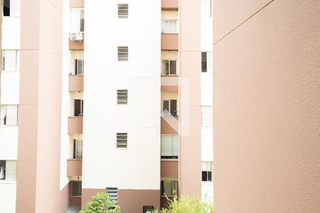Vista - Sacada  de apartamento à venda com 2 quartos, 48m² em Paulicéia, São Bernardo do Campo