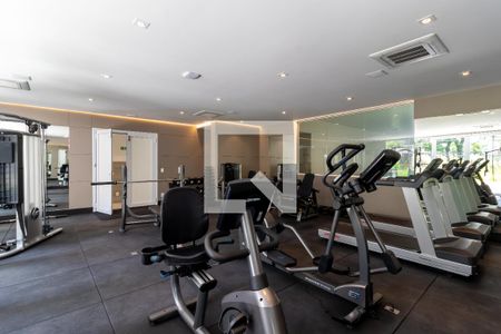 Apartamento à venda com 263m², 4 quartos e 6 vagasÁrea comum - Academia