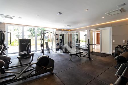 Apartamento à venda com 263m², 4 quartos e 6 vagasÁrea comum - Academia