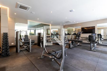 Apartamento à venda com 263m², 4 quartos e 6 vagasÁrea comum - Academia