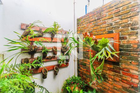 Jardim de inverno de casa para alugar com 3 quartos, 180m² em Chácara Monte Alegre, São Paulo