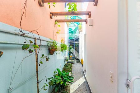 Casa para alugar com 180m², 3 quartos e 2 vagasQuintal