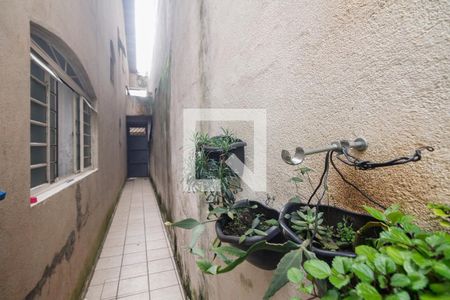 Casa à venda com 212m², 4 quartos e 3 vagas Casa à venda com 212m², 4 quartos e 3 vagasCasa 02 - Quintal