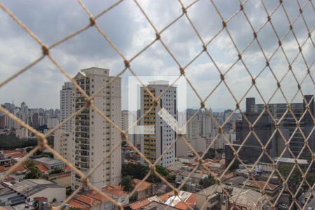 Varanda da Sala - Vista  de apartamento à venda com 3 quartos, 86m² em Cambuci, São Paulo