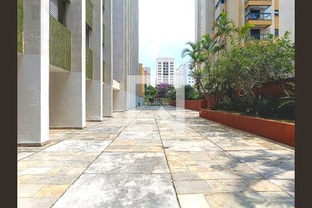 Apartamento à venda com 116m², 3 quartos e 1 vaga Apartamento à venda com 116m², 3 quartos e 1 vagaÁrea comum - Circulação