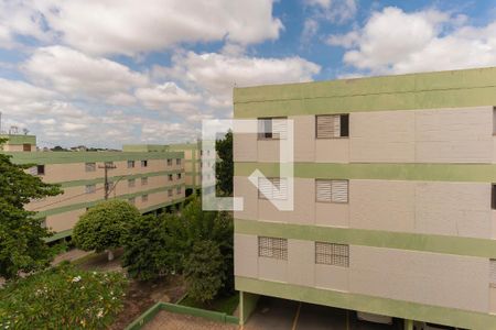 Vista do Quarto 1 de apartamento à venda com 2 quartos, 55m² em Jardim Paulicéia, Campinas