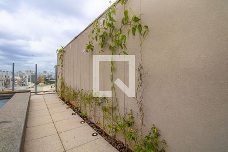 Apartamento à venda com 38m², 1 quarto e sem vagaÁrea comum - Cobertura 