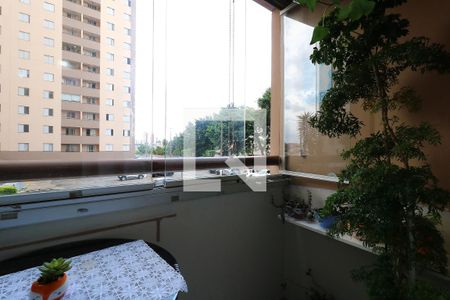Espaço Gourmet de apartamento à venda com 3 quartos, 69m² em Vila Camilópolis, Santo André