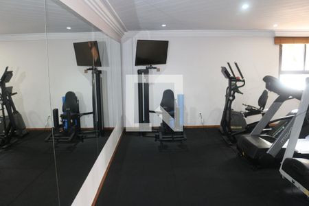 Apartamento à venda com 248m², 4 quartos e 4 vagasÁrea comum - Academia