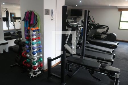 Apartamento à venda com 248m², 4 quartos e 4 vagasÁrea comum - Academia