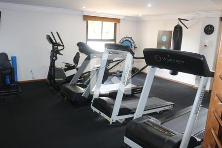 Apartamento à venda com 248m², 4 quartos e 4 vagasÁrea comum - Academia