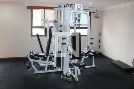 Apartamento à venda com 248m², 4 quartos e 4 vagasÁrea comum - Academia