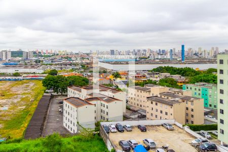 Vista de apartamento para alugar com 2 quartos, 60m² em Quinta da Paineira, São Paulo