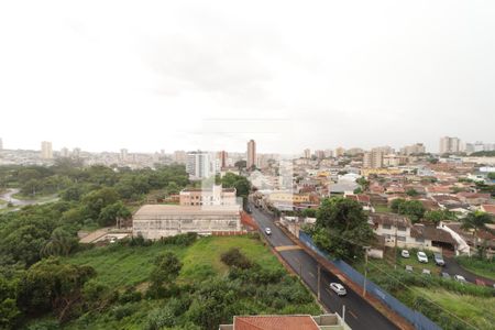 Vista sala de apartamento para alugar com 1 quarto, 50m² em Jardim Palma Travassos, Ribeirão Preto