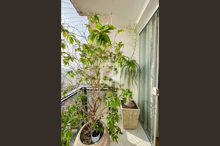 Apartamento à venda com 82m², 3 quartos e 2 vagasSacada Sala