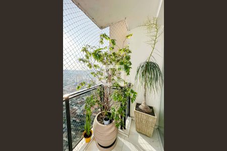 Apartamento à venda com 82m², 3 quartos e 2 vagasSacada Sala