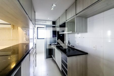 Apartamento para alugar com 62m², 2 quartos e 1 vagaCozinha - Armários
