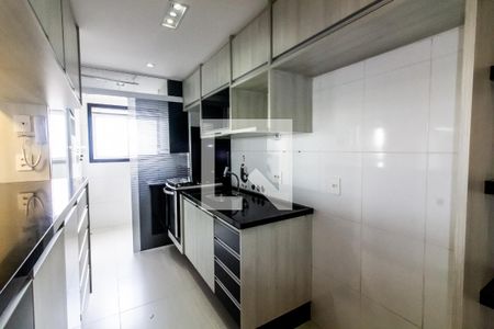 Apartamento para alugar com 62m², 2 quartos e 1 vagaCozinha - Armários