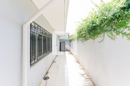 Casa para alugar com 170m², 4 quartos e 5 vagasQuintal