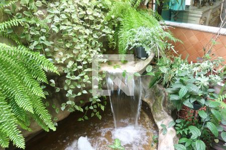 Casa à venda com 269m², 3 quartos e 7 vagasJardim