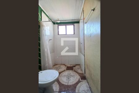 Banheiro de casa para alugar com 1 quarto, 29m² em Jardim Santa Lúcia, Campinas