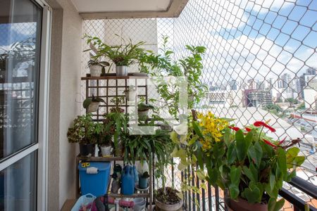 Apartamento à venda com 64m², 2 quartos e 1 vaga Apartamento à venda com 64m², 2 quartos e 1 vagaSacada