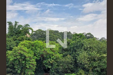 Casa para alugar com 250m², 3 quartos e 4 vagasQuarto 3