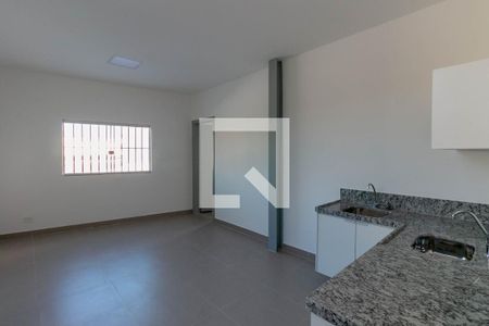 Studio de kitnet/studio para alugar com 1 quarto, 45m² em Barroca, Belo Horizonte