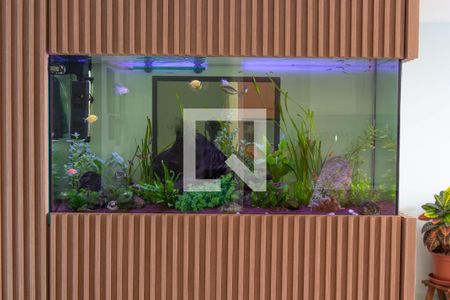 Apartamento à venda com 66m², 1 quarto e 1 vagaSacada