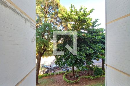 Vista da Sala  de apartamento à venda com 3 quartos, 66m² em Conjunto Residencial Parque Bandeirantes, Campinas