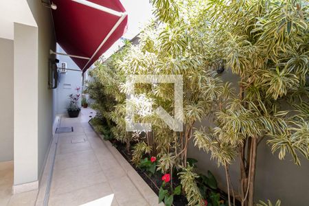 Casa para alugar com 350m², 6 quartos e 2 vagasCorredor lateral