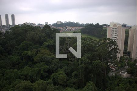 Vista da Cozinha/Área de Serviço de apartamento à venda com 2 quartos, 33m² em Jardim Celeste, São Paulo