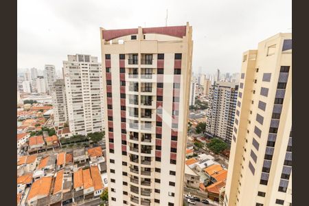 Apartamento à venda com 250m², 3 quartos e 2 vagasSuíte 2 - Vista