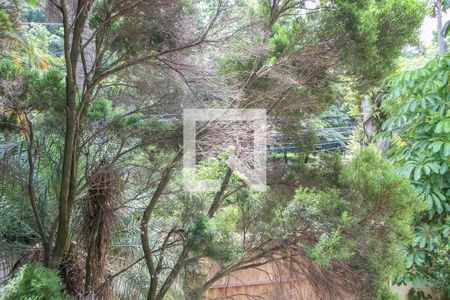 Casa à venda com 450m², 4 quartos e 4 vagasVista do Quarto 3