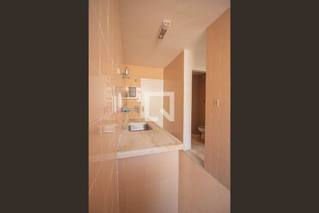 Cozinha de apartamento para alugar com 2 quartos, 53m² em Rio Comprido, Rio de Janeiro