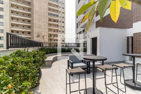 Apartamento para alugar com 33m², 1 quarto e sem vagaLounge