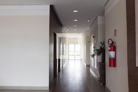 Apartamento à venda com 74m², 3 quartos e 2 vagasHall