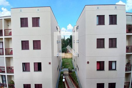 Vista do Quarto  de apartamento à venda com 2 quartos, 55m² em Jardim das Bandeiras, Campinas
